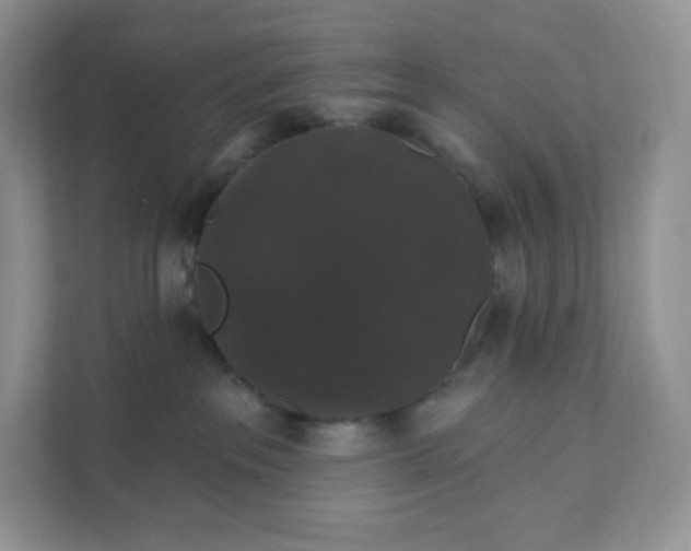 X0000111590237200907301433