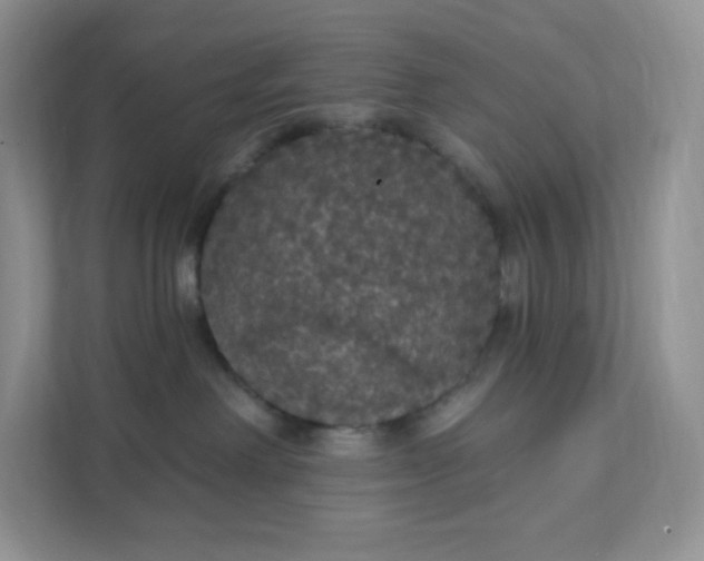 X0000111590238200907301433