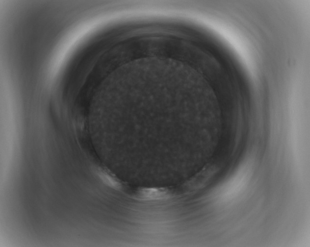 X0000111590239200907301433