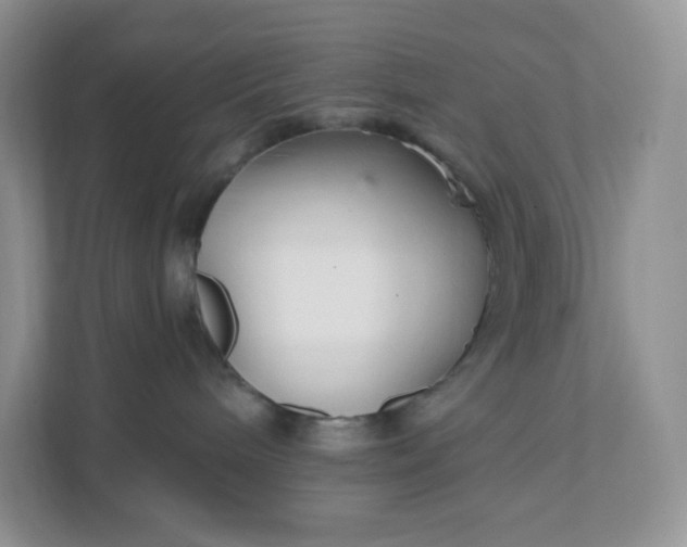 X0000111590240200907301433