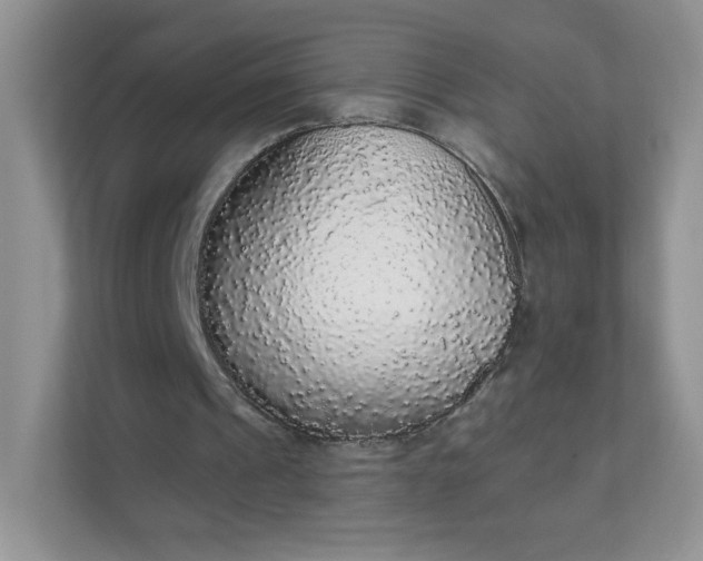 X0000111590241200907301432