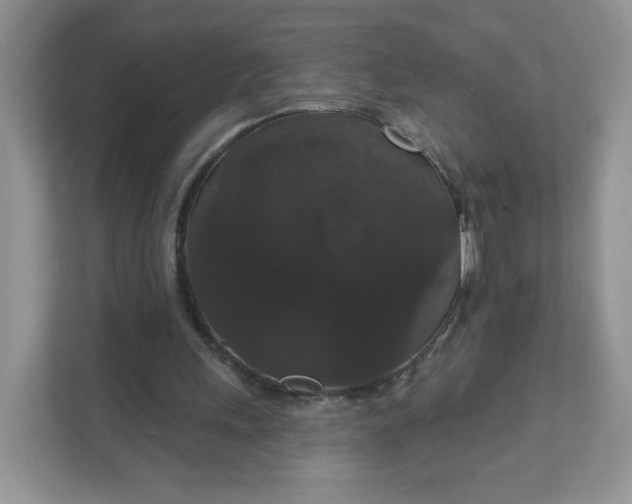 X0000111590243200907301432