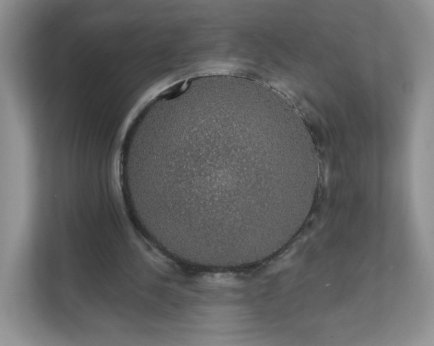 X0000111590244200907301432