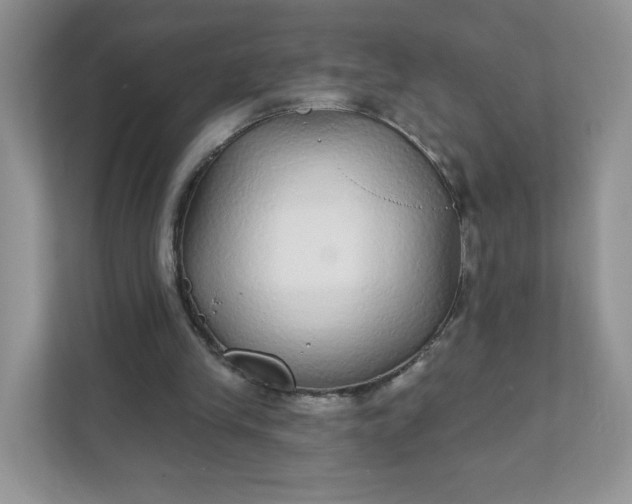 X0000111590245200907301432