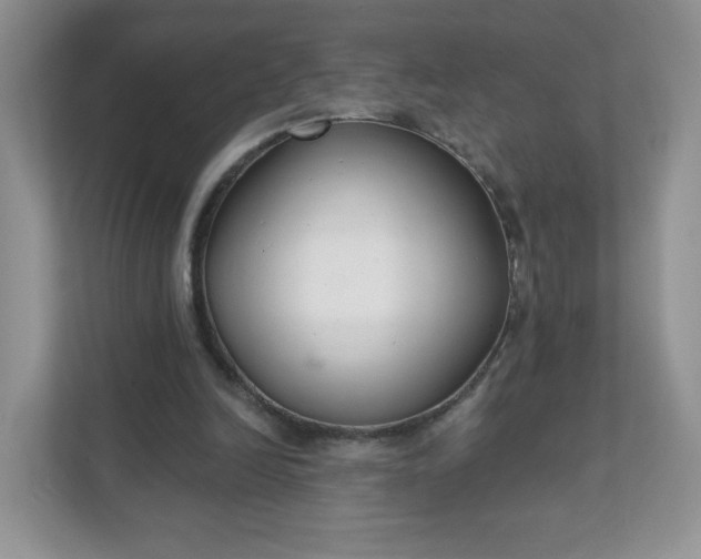 X0000111590246200907301432