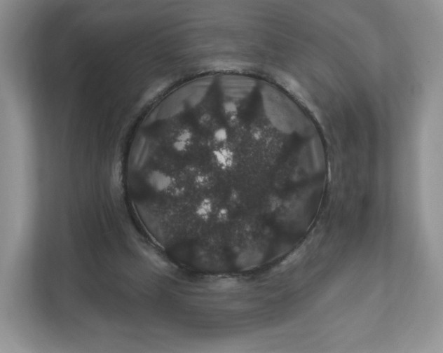 X0000111590249200907301432