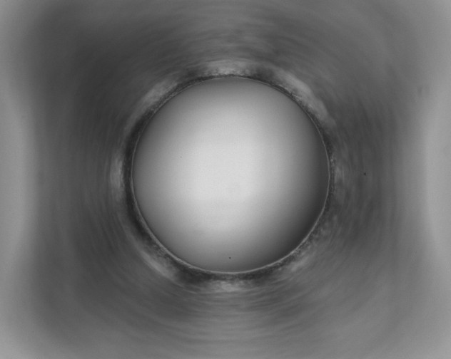 X0000111590250200907301432