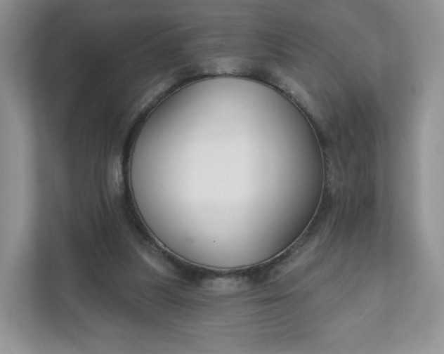 X0000111590251200907301432