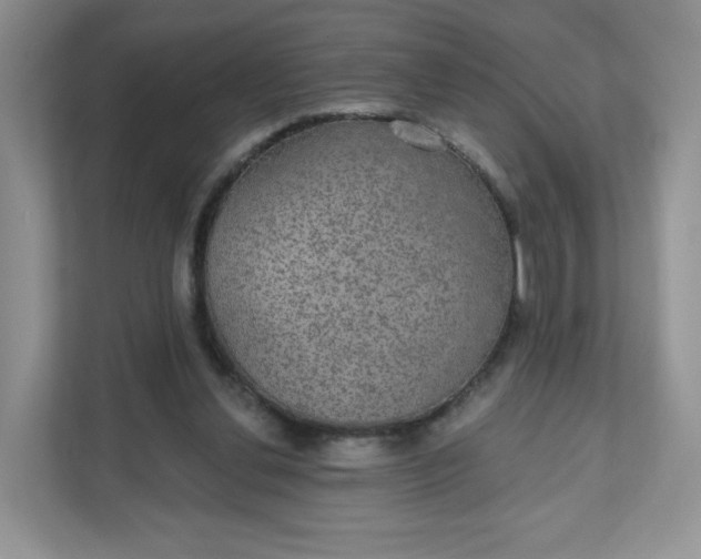 X0000111590252200907301432