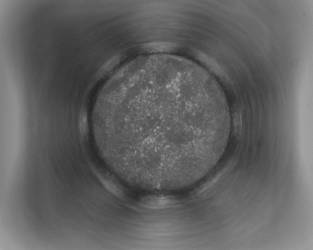 X0000111590254200907301432