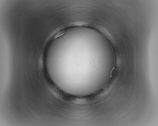 X0000111590256200907301432