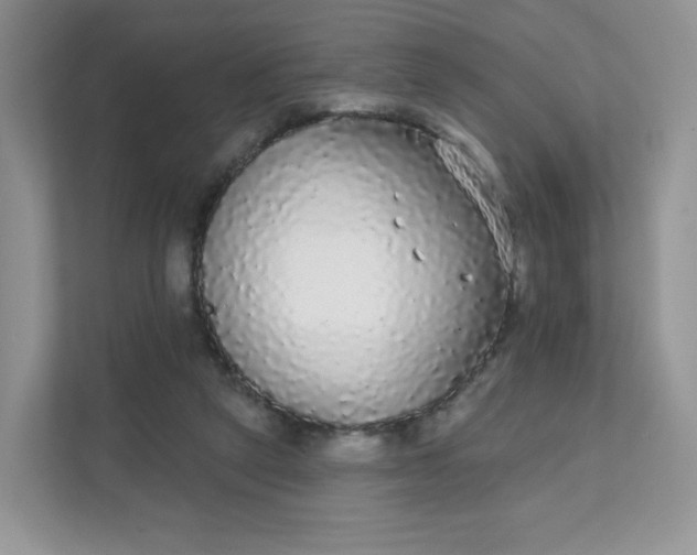 X0000111590257200907301432