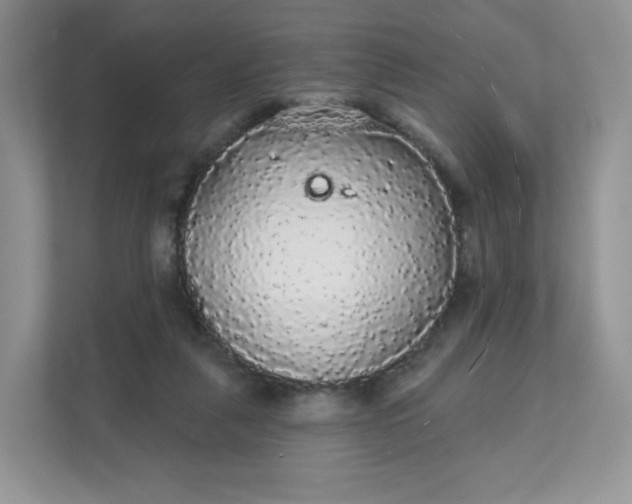 X0000111590259200907301432