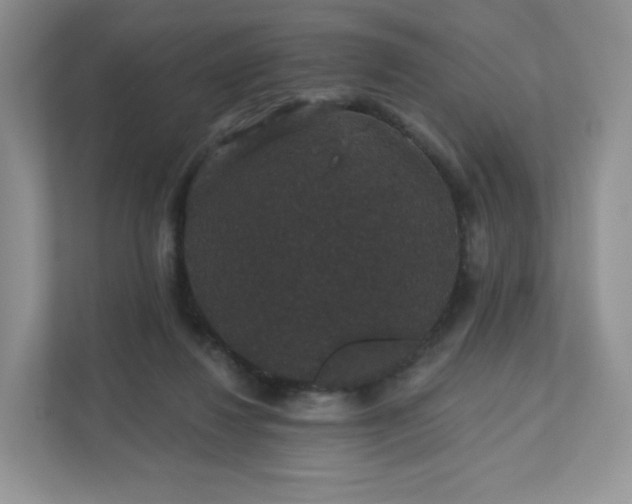 X0000111590260200907301432