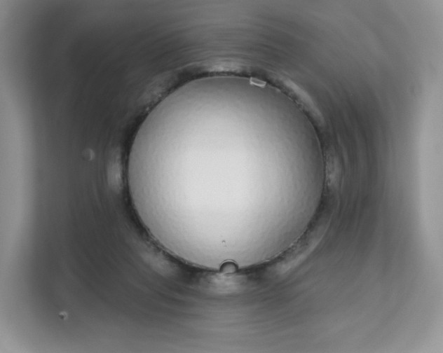 X0000111590261200907301432