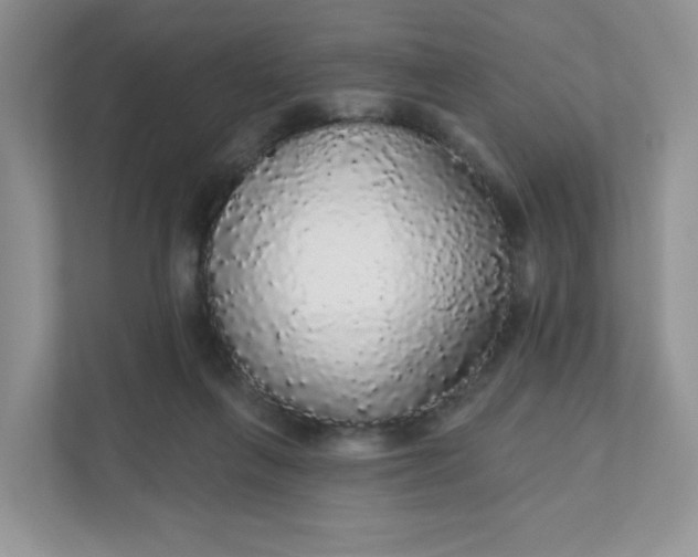 X0000111590263200907301432