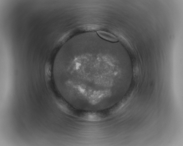 X0000111590264200907301432