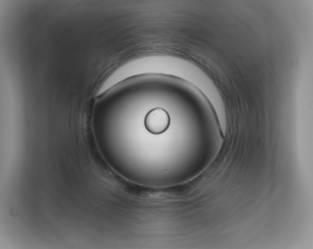 X0000111590268200907301432