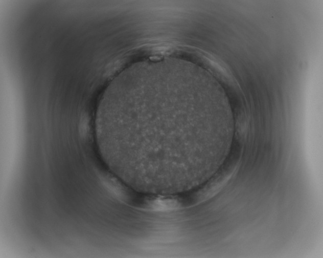 X0000111590270200907301432