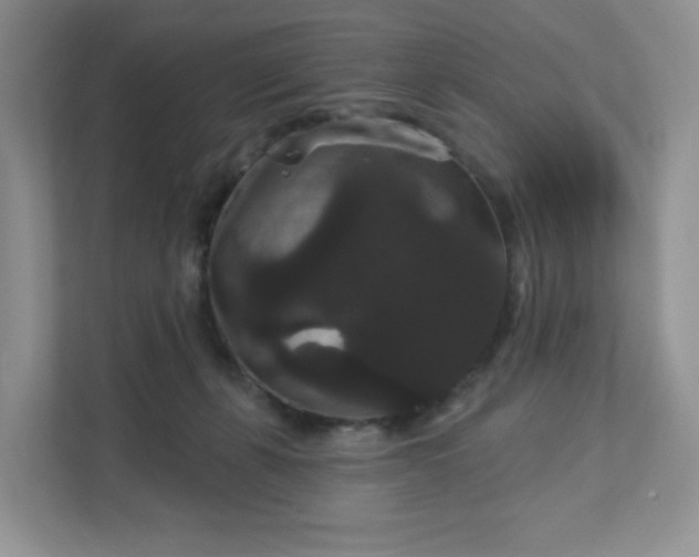 X0000111590271200907301432