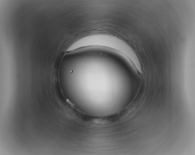 X0000111590272200907301432