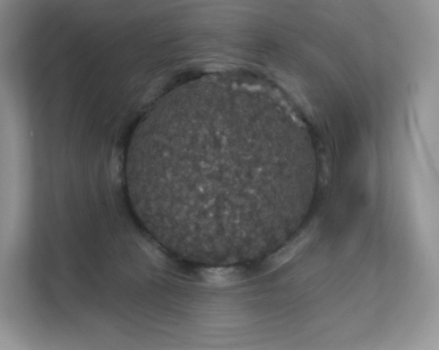 X0000111590273200907301432