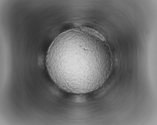 X0000111590275200907301432