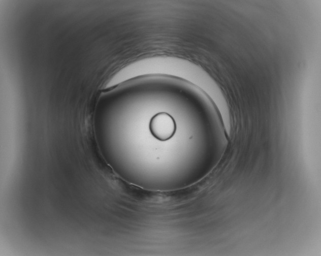 X0000111590276200907301432