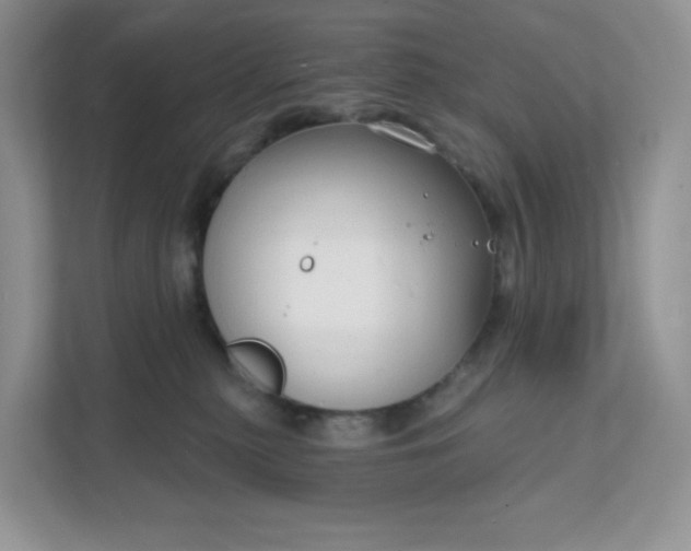 X0000111590279200907301432