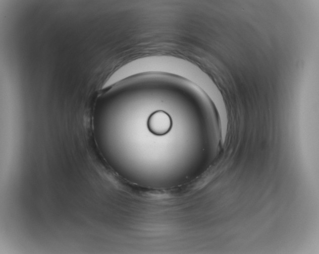 X0000111590284200907301432