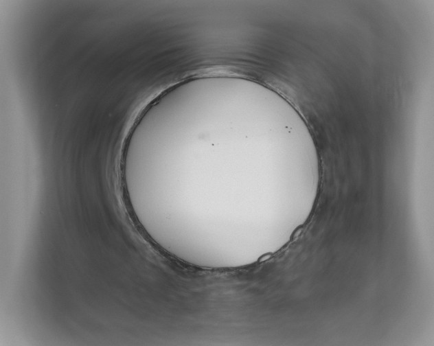 X0000111590289200907301432