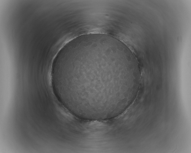 X0000111590290200907301432