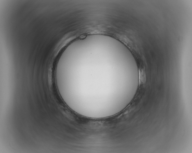 X0000111590291200907301432