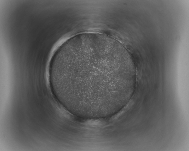 X0000111590294200907301432