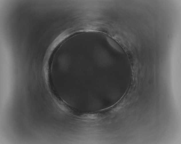 X0000111590295200907301432