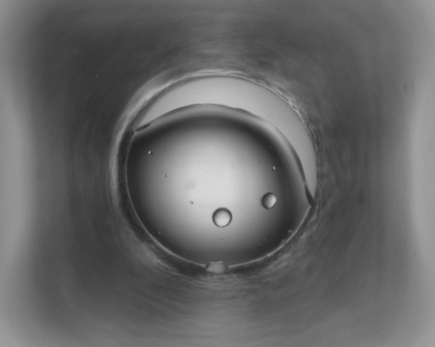 X0000111590296200907301432