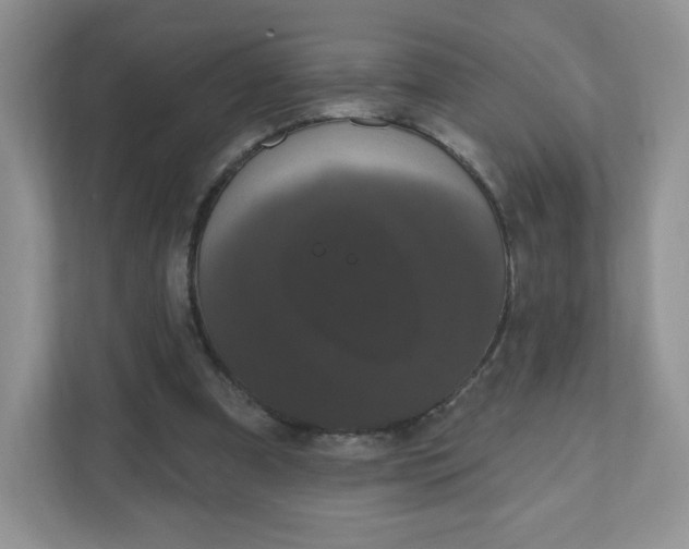 X0000111590297200907301432