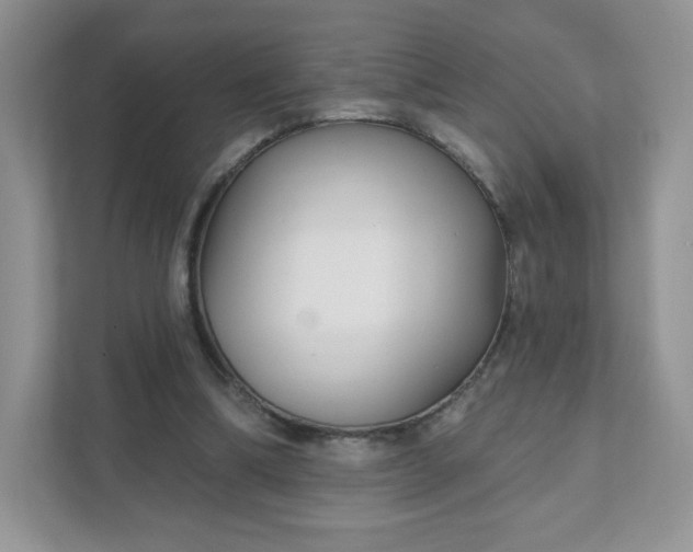 X0000111590298200907301432