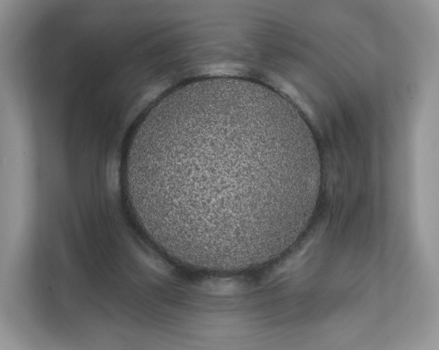 X0000111590299200907301432