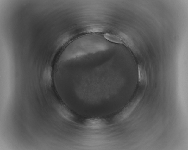 X0000111590300200907301432