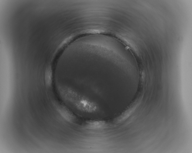 X0000111590304200907301431