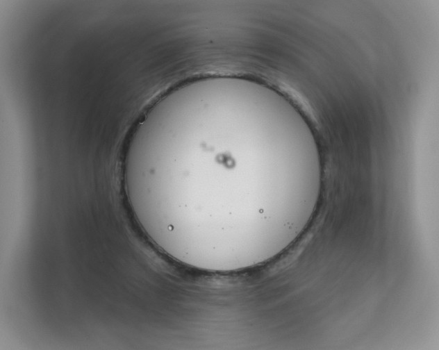 X0000111590305200907301431