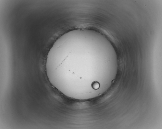 X0000111590307200907301431