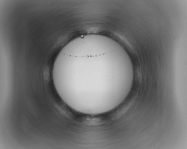 X0000111590311200907301431