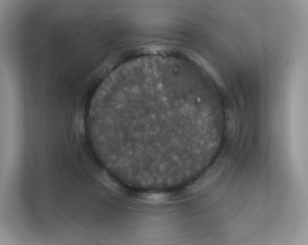 X0000111590313200907301431