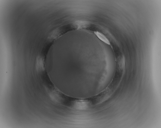 X0000111590316200907301431