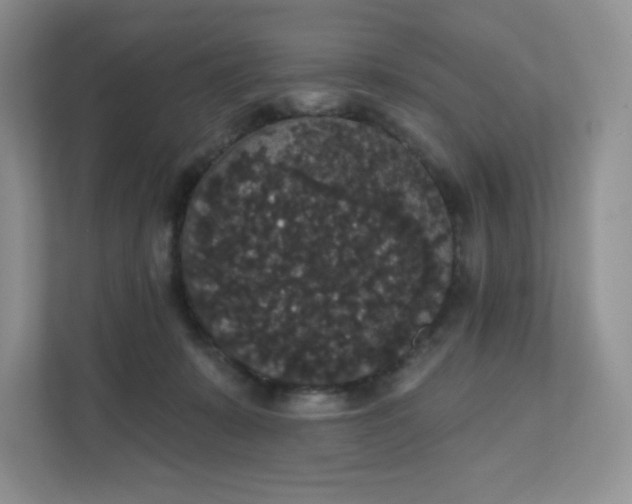 X0000111590319200907301431