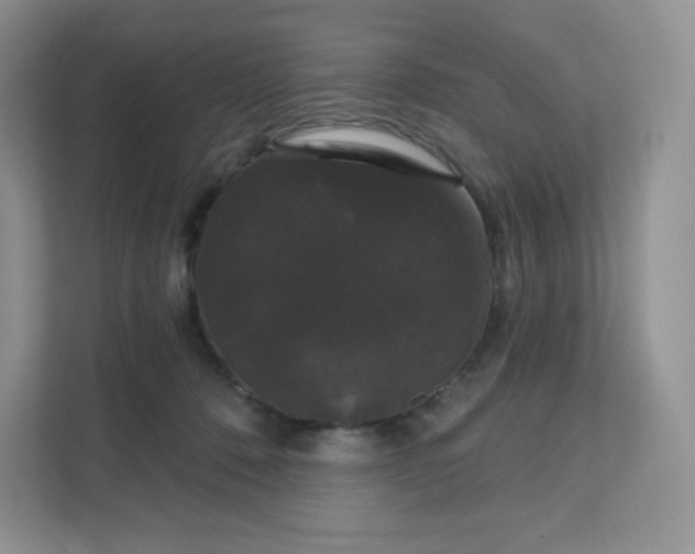 X0000111590320200907301431