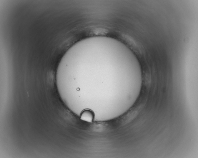 X0000111590321200907301431