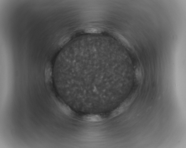 X0000111590322200907301431